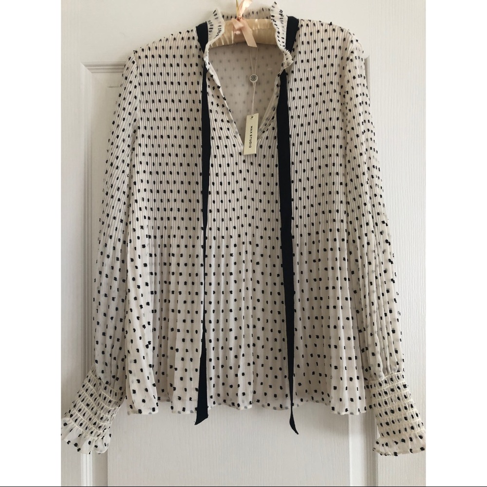 Max Studio blouse.